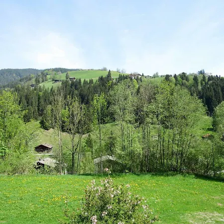 Apartment Chalet Gasteig 310s Wildschoenau
